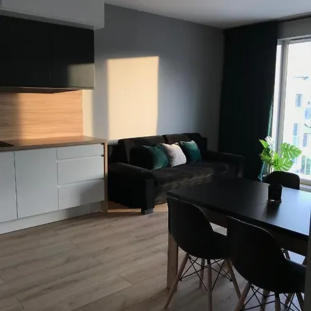 Apartament Blisko Centrum 아파트 *